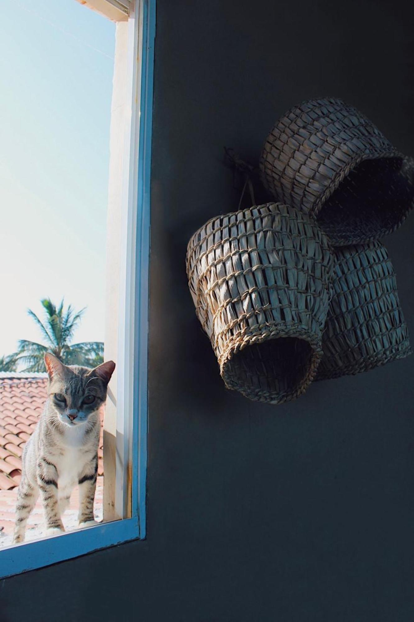 Uru Pousada Jijoca de Jericoacoara Buitenkant foto